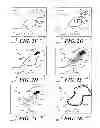 Fig. 03 - System and method of displaying convective weather on a weather radar display