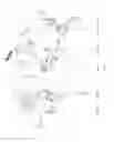Fig. 09 - 2D WEB TRILATERATION