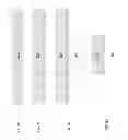 Fig. 09 - Radio-frequency transparent window