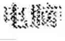 Fig. 113 - REAL-TIME STROKE-ORDER AND STROKE-DIRECTION INDEPENDENT HANDWRITING RECOGNITION