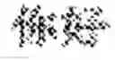 Fig. 22 - REAL-TIME STROKE-ORDER AND STROKE-DIRECTION INDEPENDENT HANDWRITING RECOGNITION