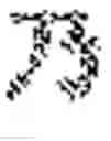 Fig. 76 - REAL-TIME STROKE-ORDER AND STROKE-DIRECTION INDEPENDENT HANDWRITING RECOGNITION