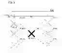 Fig. 05 - INPUT DEVICE, INFORMATION PROCESSING DEVICE, AND PROGRAM