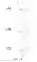 Fig. 20 - Light-based touch surface with curved borders