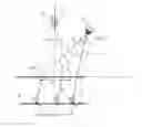 Fig. 01 - DISPLAY CONTROL SYSTEM AND READING DEVICE