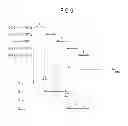 Fig. 06 - Liquid crystal display device that suppresses deterioration of image quality