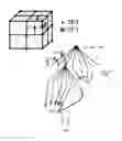 Fig. 01 - Volume rendering of images with multiple classifications