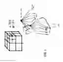 Fig. 02 - Volume rendering of images with multiple classifications