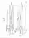 Fig. 09 - Image forming apparatus with electrophotographic system