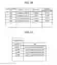 Fig. 12 - Information processing system and information processing method