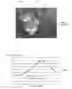 Fig. 02 - Autofocus