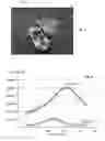 Fig. 06 - Autofocus