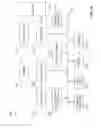 Fig. 12 - Autofocus