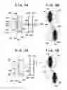 Fig. 07 - Image capture apparatus with automatic focus detection and method for controlling the same