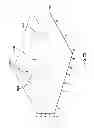Fig. 31 - Systems, devices, and methods including a dark-field reflected-illumination apparatus