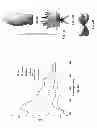 Fig. 51 - Systems, devices, and methods including a dark-field reflected-illumination apparatus