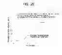 Fig. 41 - Lateral electric field liquid crystal display device and manufacturing method thereof