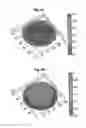 Fig. 04 - Birefringent device with application specific pupil function and optical device