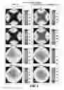 Fig. 04 - POLYMER-DOPED VERTICALLY-ALIGNED NEMATIC LIQUID CRYSTALS