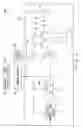 Fig. 08 - Nonlinear optical microscope apparatus