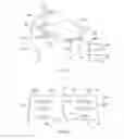 Fig. 02 - Electronic correction based on eye tracking