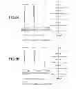 Fig. 10 - Zooming optical system, optical apparatus and method for manufacturing zooming optical system