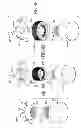 Fig. 37 - Illumination system and method
