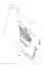 Fig. 06 - Article with translucent ornamentation