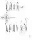 Fig. 06 - Systems and methods for dynamically adjusting QoS parameters