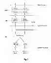 Fig. 07 - Component carrier activation and deactivation using resource assignments