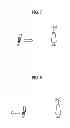 Fig. 07 - Mobile communication system, base station and communication control method for notification and management of resource allocation information in CoMP cooperating set