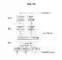 Fig. 10 - Method for a user terminal to random access a carrier aggregation mobile communication system