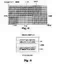 Fig. 06 - Method and apparatus for allocating a pilot signal adapted to the channel characteristics