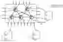 Fig. 01 - Ingress switch multicast distribution in a fabric switch