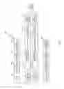 Fig. 03 - Automatic retransmission in communications systems