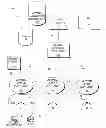 Fig. 01 - Method and system for call, facsimile and electronic message forwarding