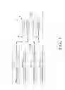 Fig. 04 - Signal receiving structure of wireless microphone
