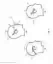 Fig. 02 - Equalization and power control of bone conduction elements