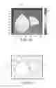 Fig. 06 - Automated vision-based clutter detector and notifier