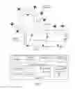 Fig. 02 - Prioritization of facial recognition matches based on likely route