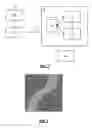 Fig. 02 - Image display of a centerline of tubular structure