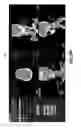 Fig. 11 - Image display of a centerline of tubular structure