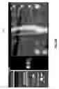 Fig. 15 - Image display of a centerline of tubular structure