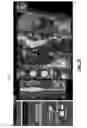 Fig. 18 - Image display of a centerline of tubular structure