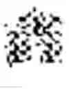 Fig. 95 - Managing real-time handwriting recognition