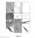 Fig. 12 - On-site composition and aesthetics feedback through exemplars for photographers