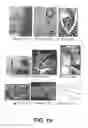 Fig. 20 - On-site composition and aesthetics feedback through exemplars for photographers