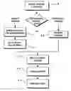 Fig. 01 - Image capture and identification system and process