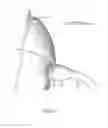 Fig. 16 - Bell Turbine