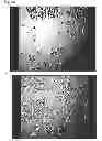 Fig. 15 - Method for producing catalytic metal layer and method for producing graphene material